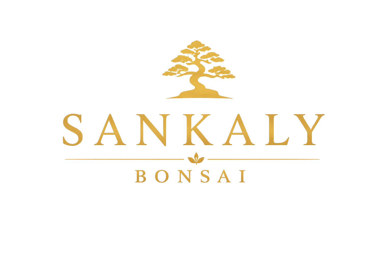 Vente de Bonsai - Sankaly Bonsai