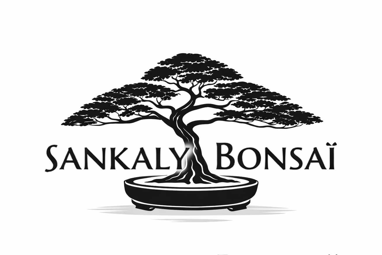 Achat Bonsai en ligne