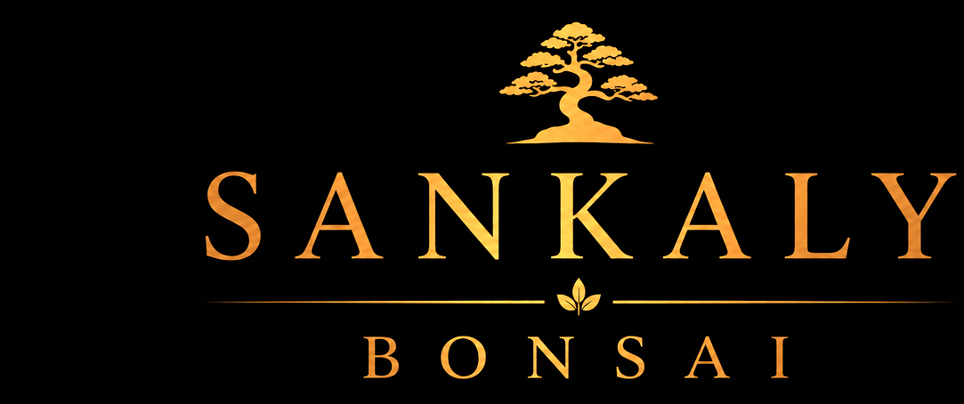 Sankaly Bonsai